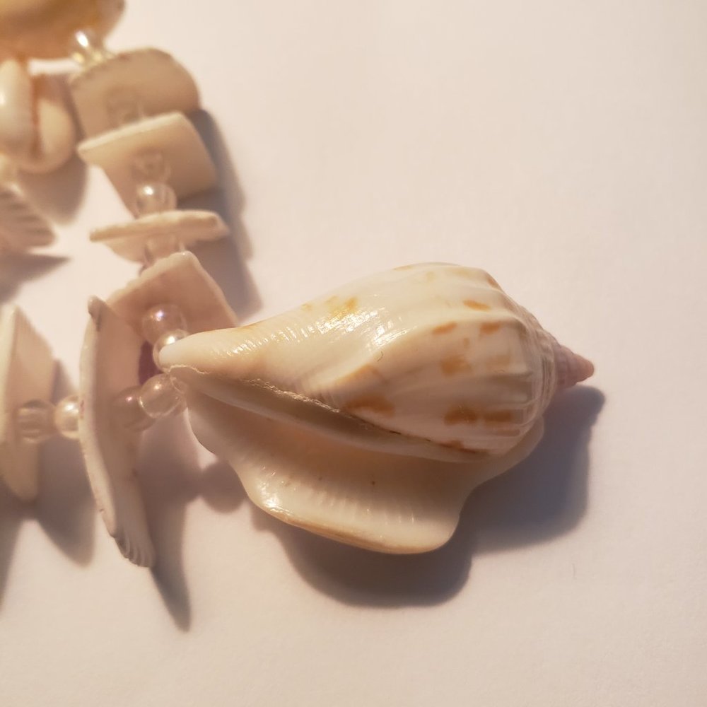Necklace real sea shells - Picture 5 of 6